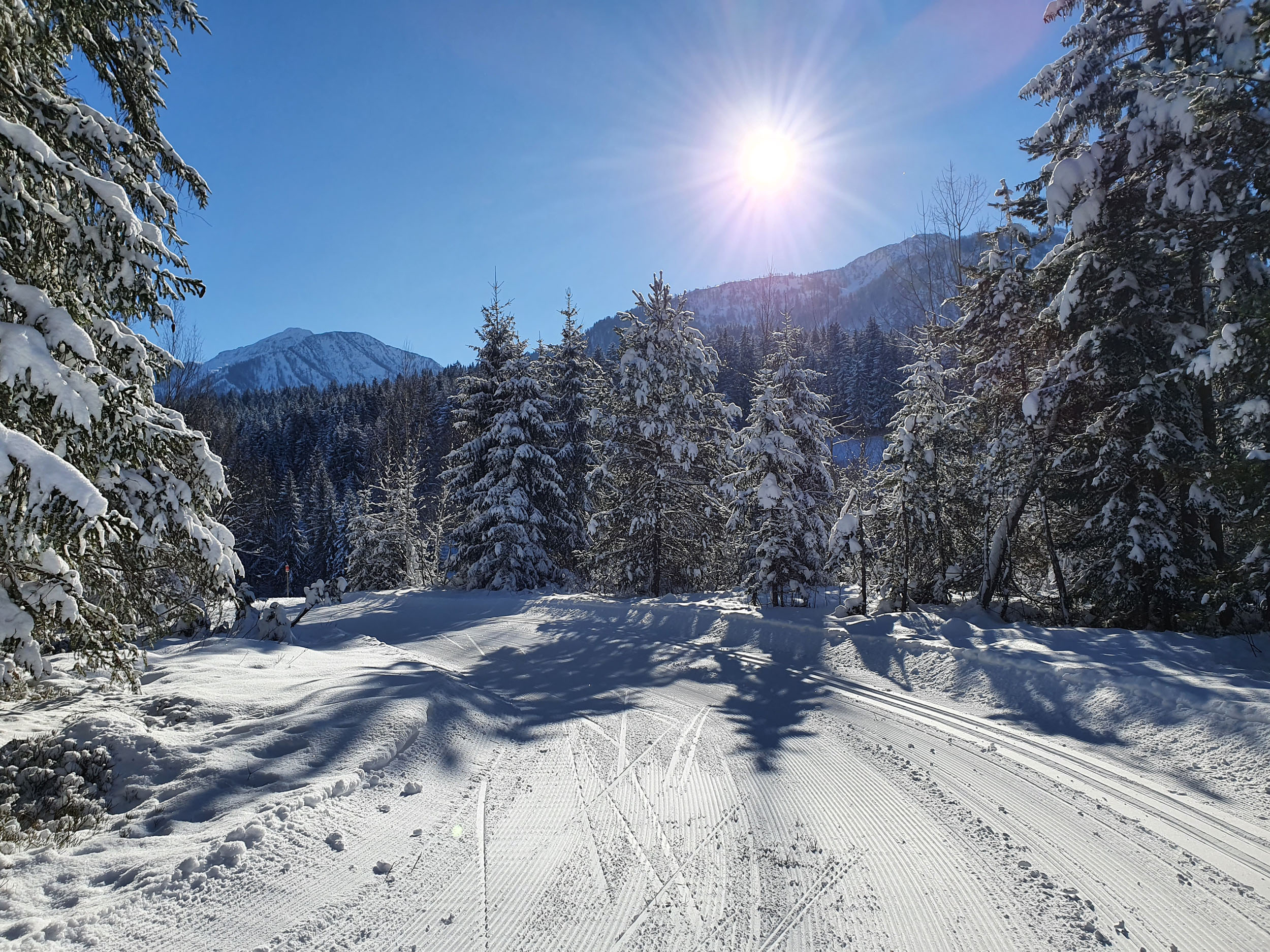 Frisch präparierte Winterloipe unweit des Apartments